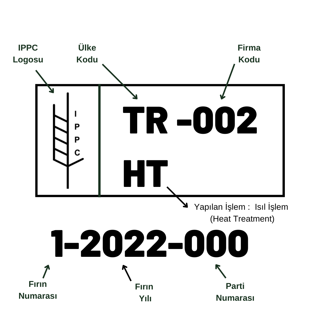 Custom Pallets & Wooden Packaging Solutions